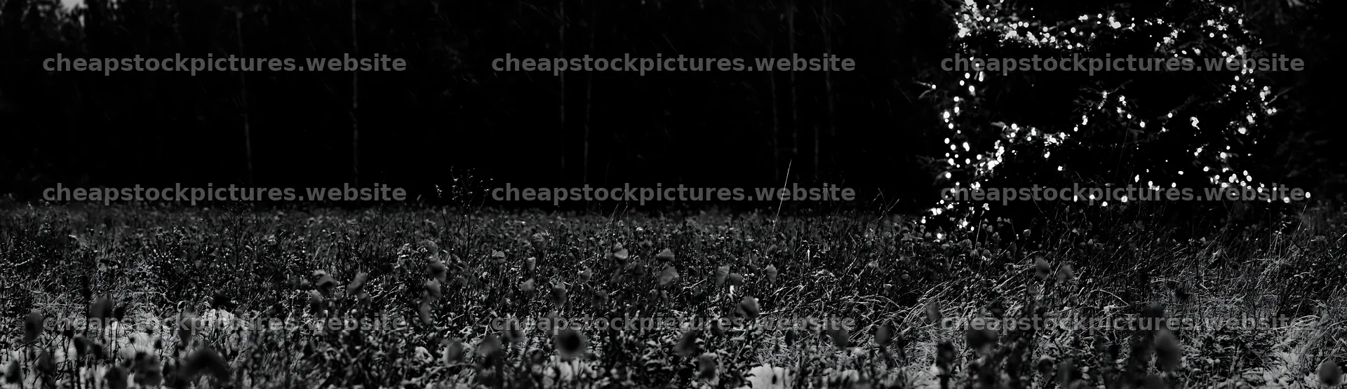 Decorated Christmas tree in a snowy meadow – stock pictures 14762x4268