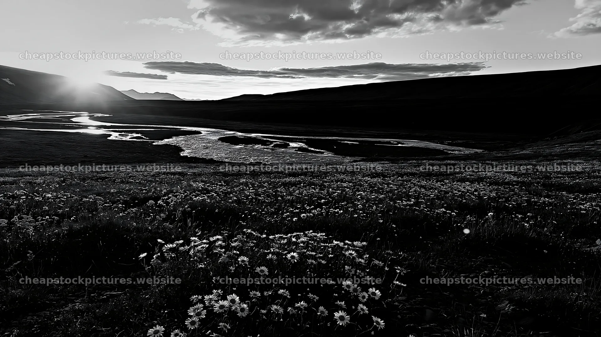 Meadow whiteout in a scenic valley during sunset – stock pictures 10608x5938