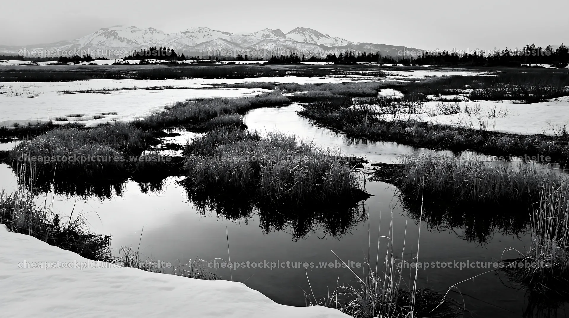 Akita snowmelt meadow with silver grasses and mountain view – stock pictures 10608x5938