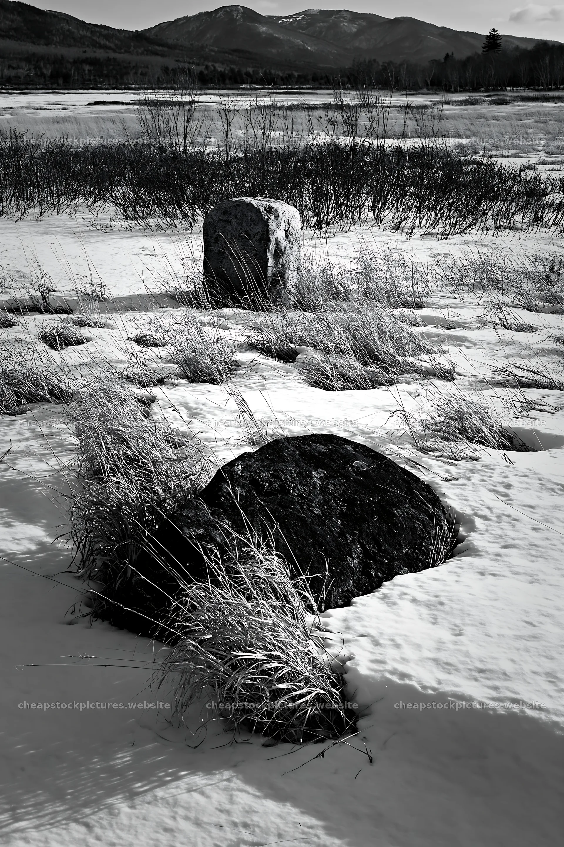 Aomori climate resilient meadow with boulder – stock pictures 6480x9722