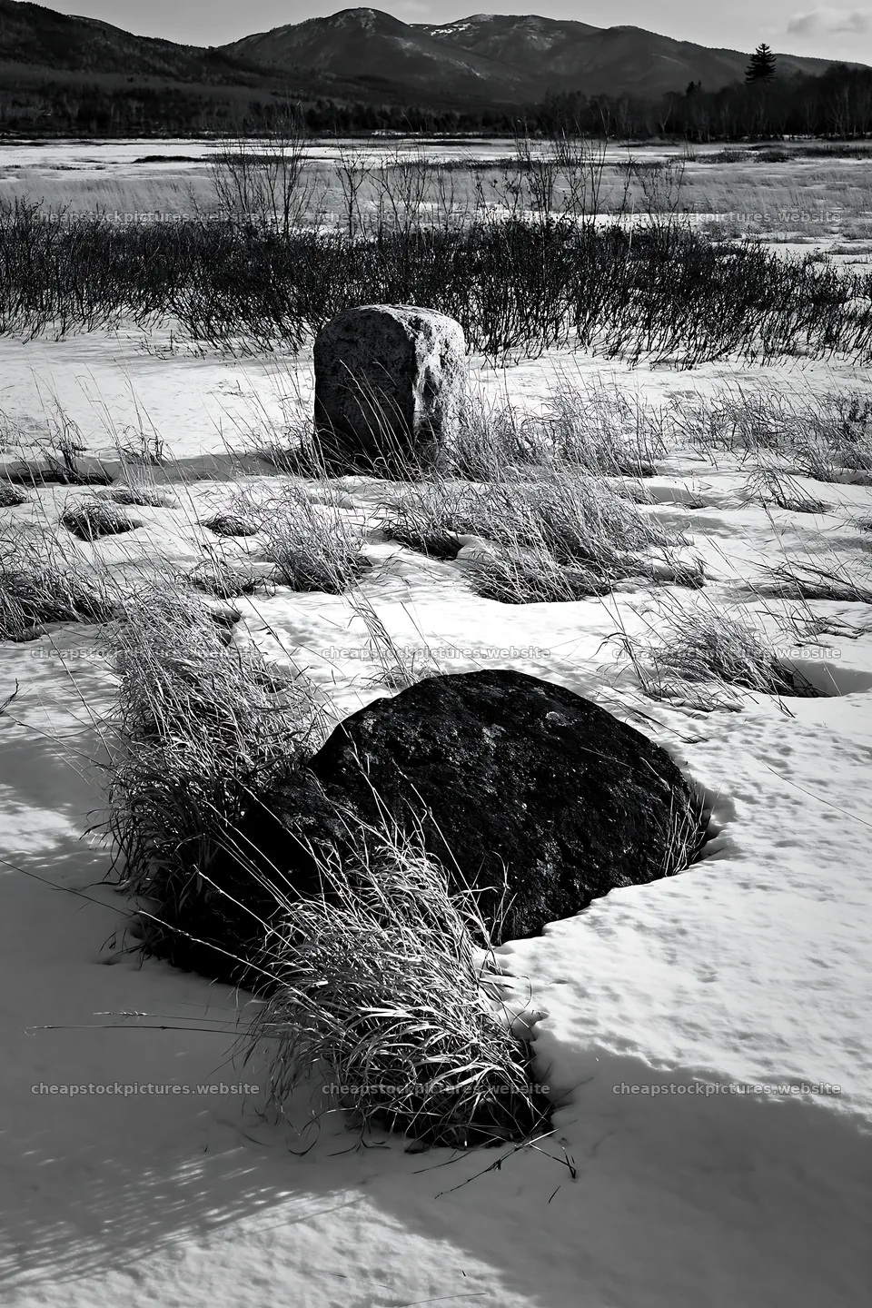 Aomori climate resilient meadow with boulder – stock pictures 6480x9722