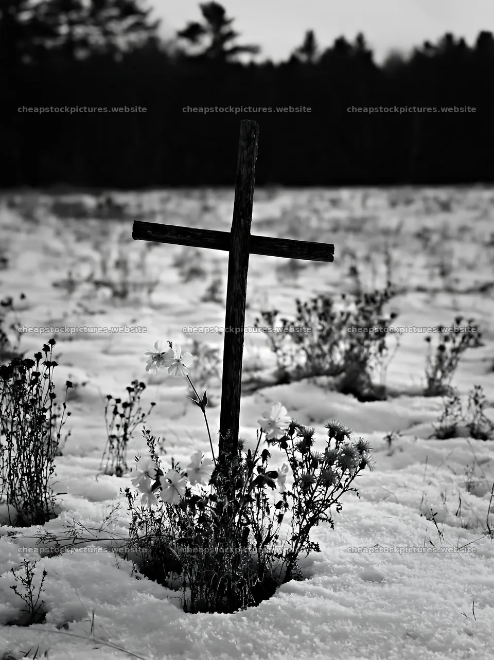 Christian cross in snow-filled meadow landscape – stock pictures 6866x9174