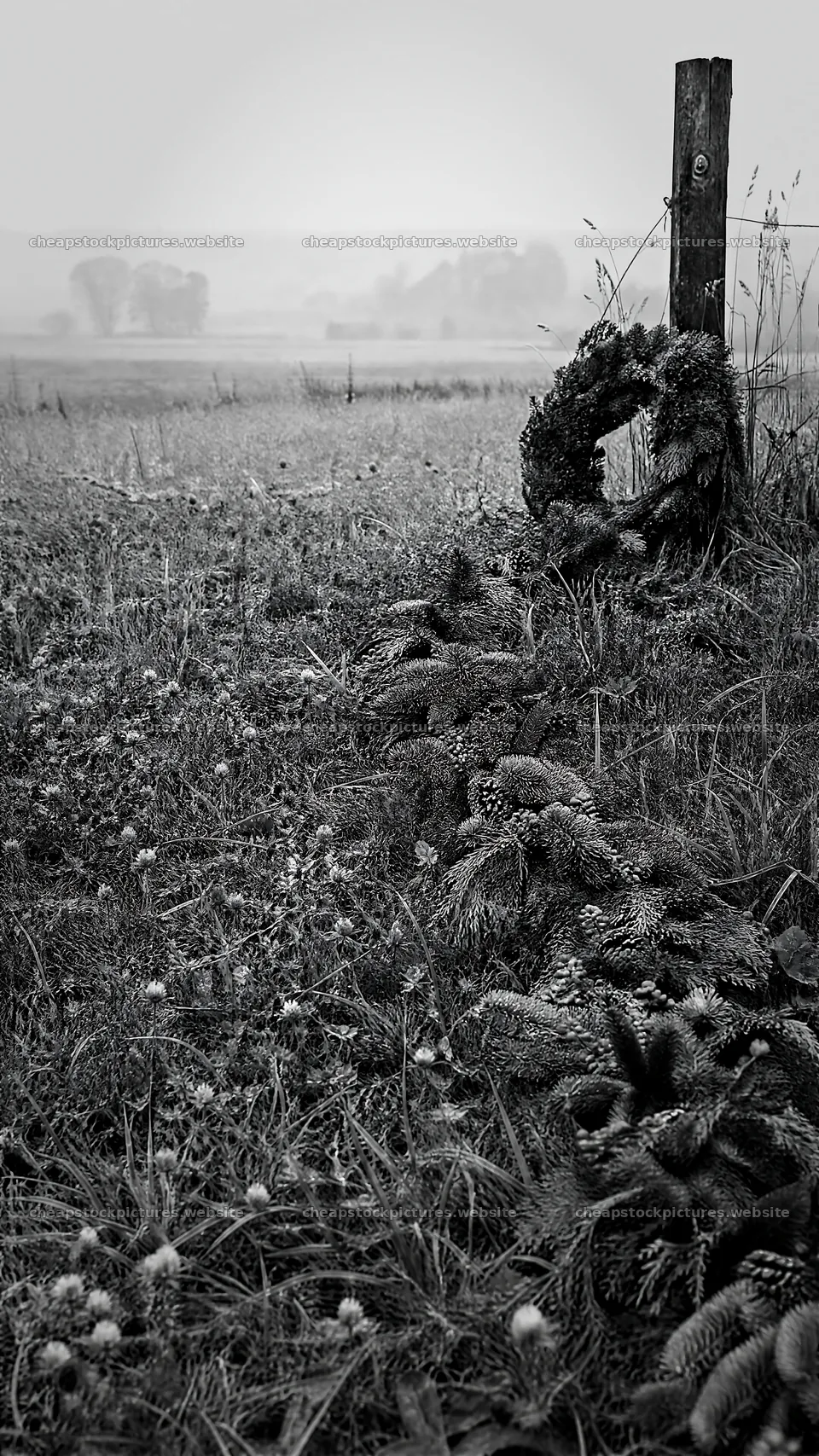 Vibrant Christmas garland on meadow grass in foggy landscape – stock pictures 5952x10584