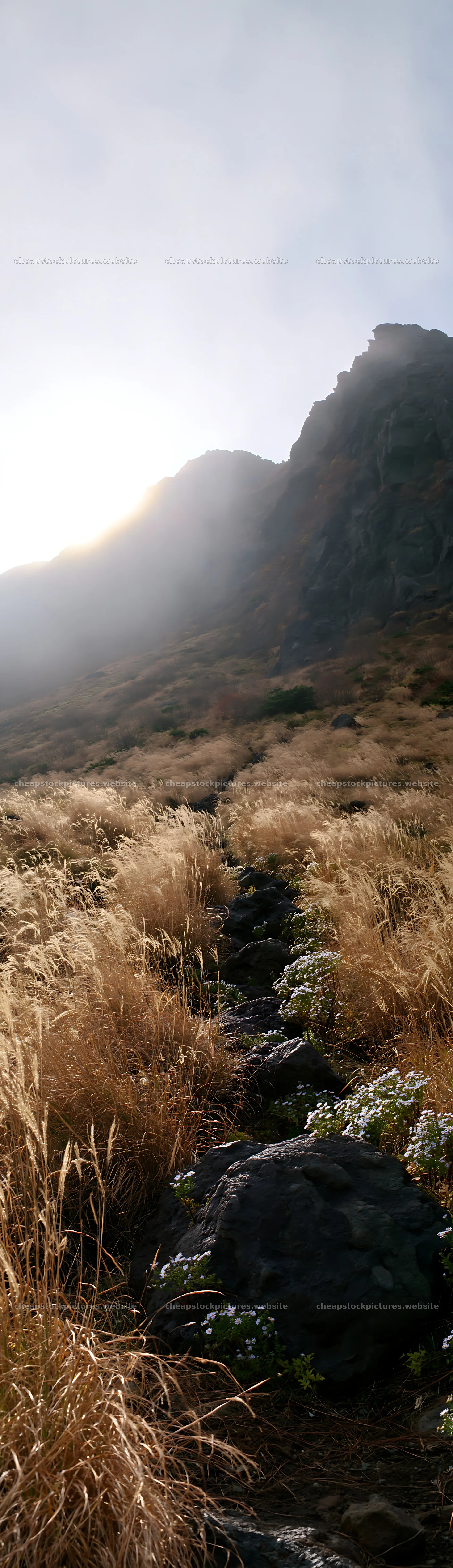 Kanagawa meadow with volcanic stones under a bright sun – stock pictures 4268x14762