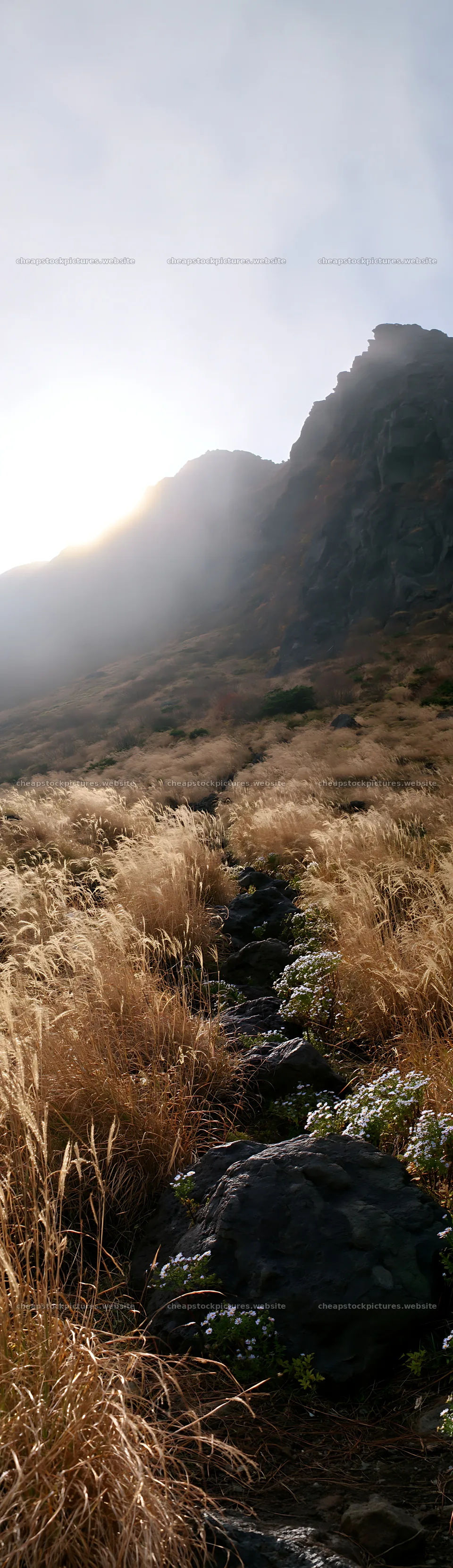 Kanagawa meadow with volcanic stones under a bright sun – stock pictures 4268x14762