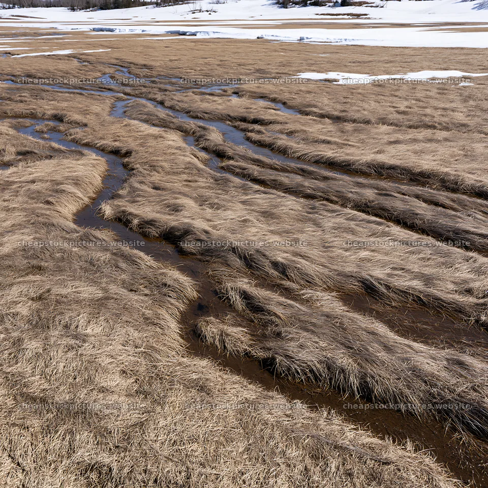 Akita snowmelt meadow with silver grasses in early spring – stock pictures 7938x7938