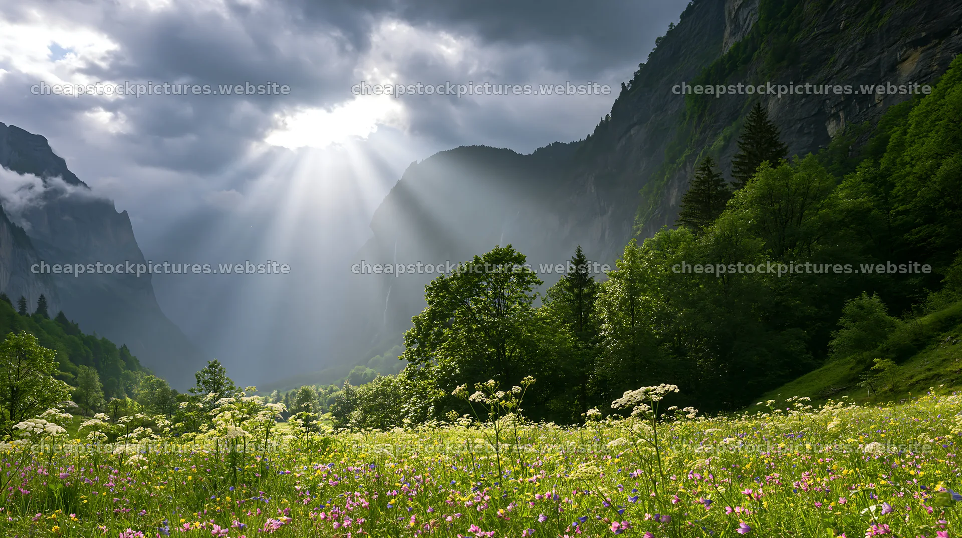 Light beams over Lauterbrunnen Valley meadow at midday – stock pictures 10608x5938