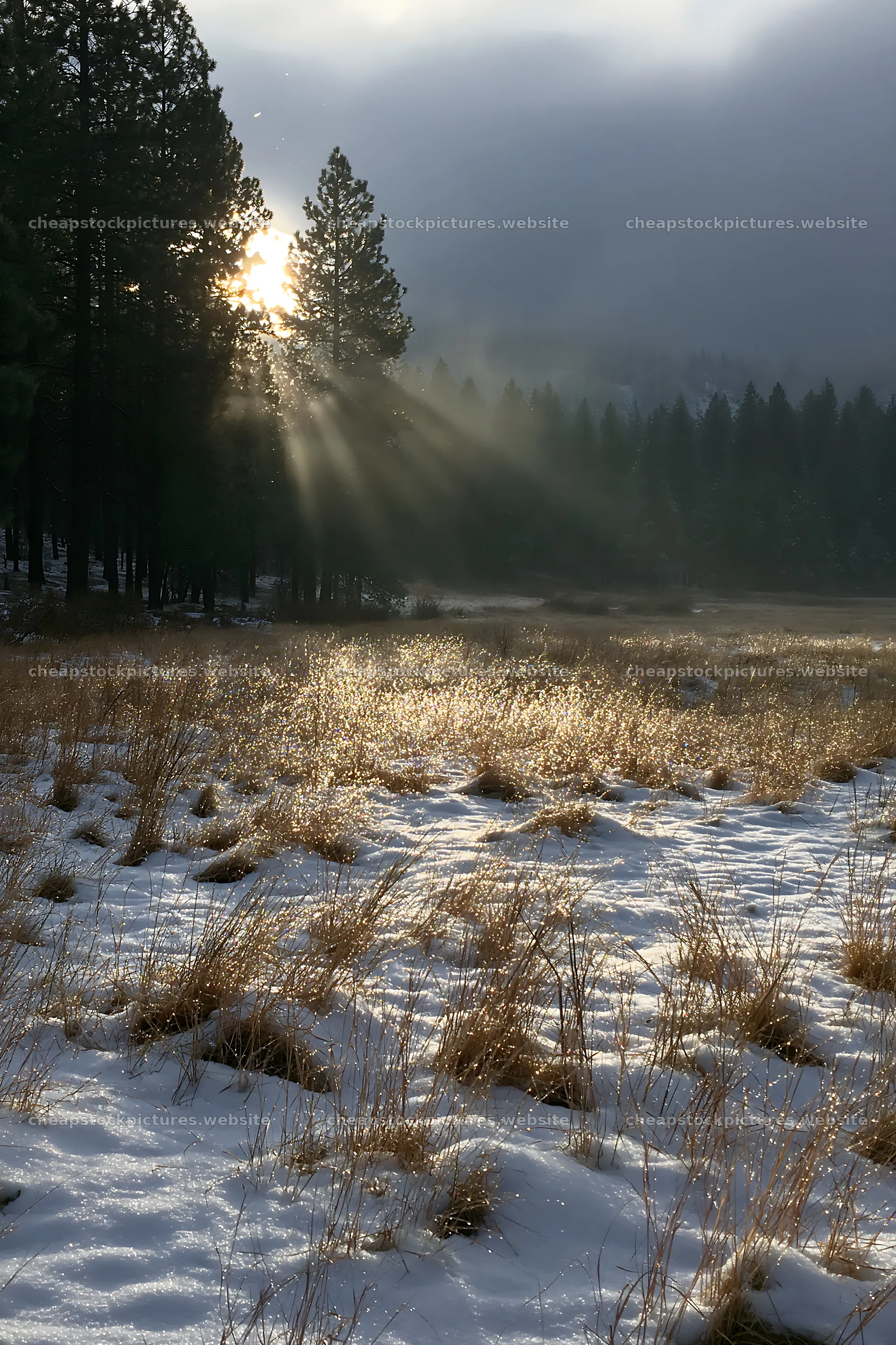 Snowy foothill meadow with sunlight and tall grass – stock pictures 6480x9722