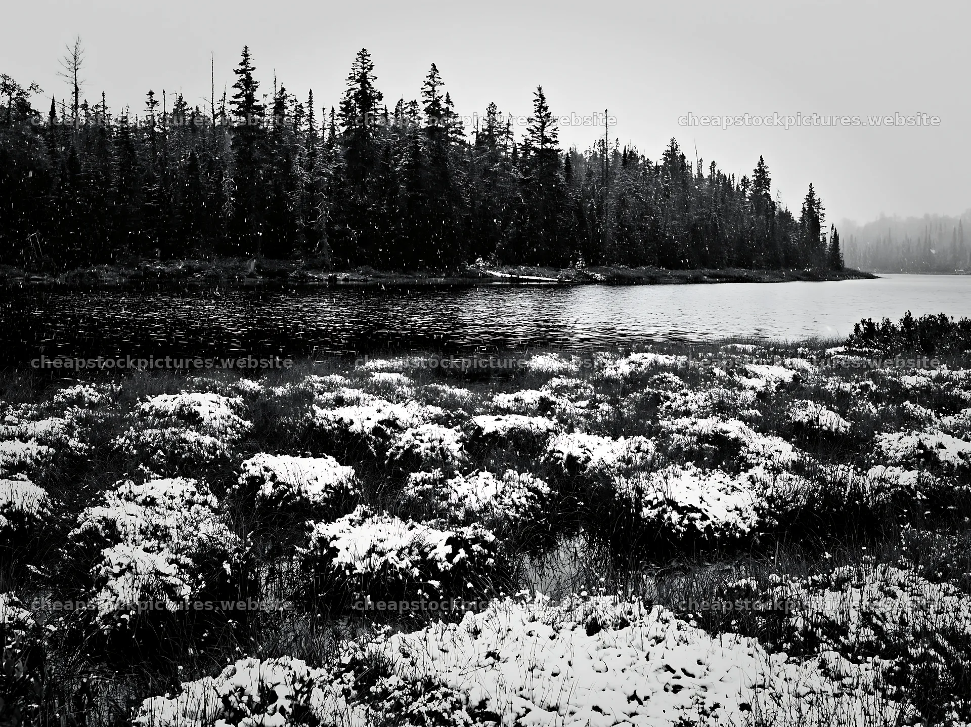 Lakeside meadow after first snowfall with trees in the background – stock pictures 9174x6866