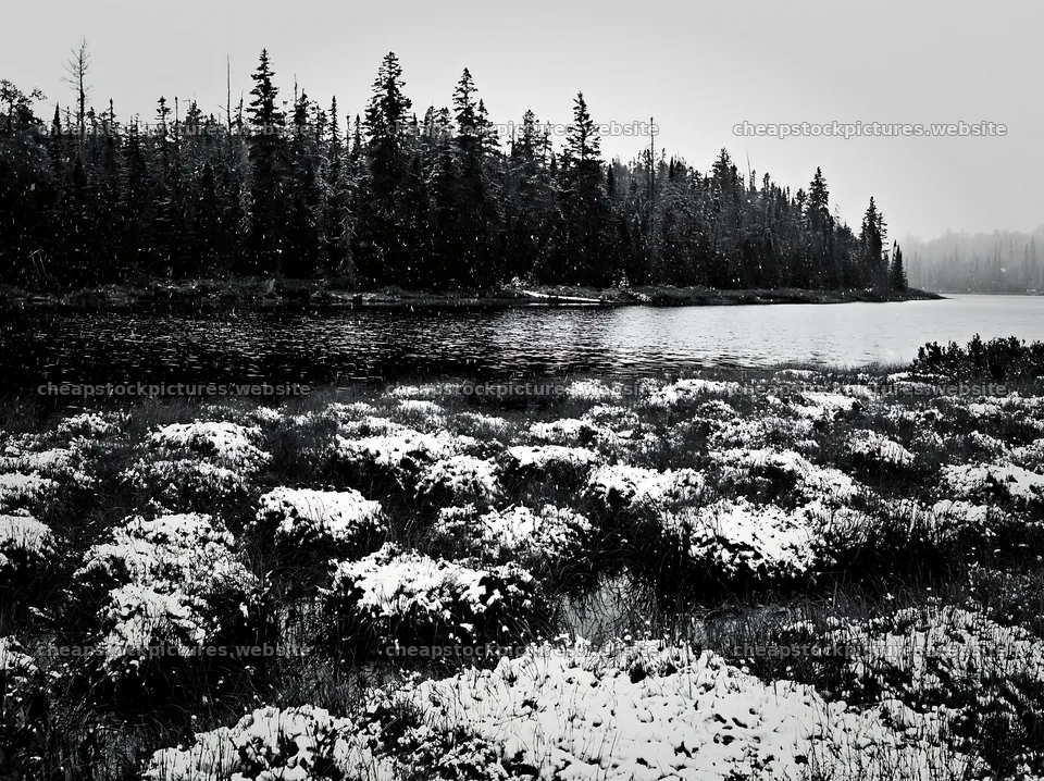 Lakeside meadow after first snowfall with trees in the background – stock pictures 9174x6866