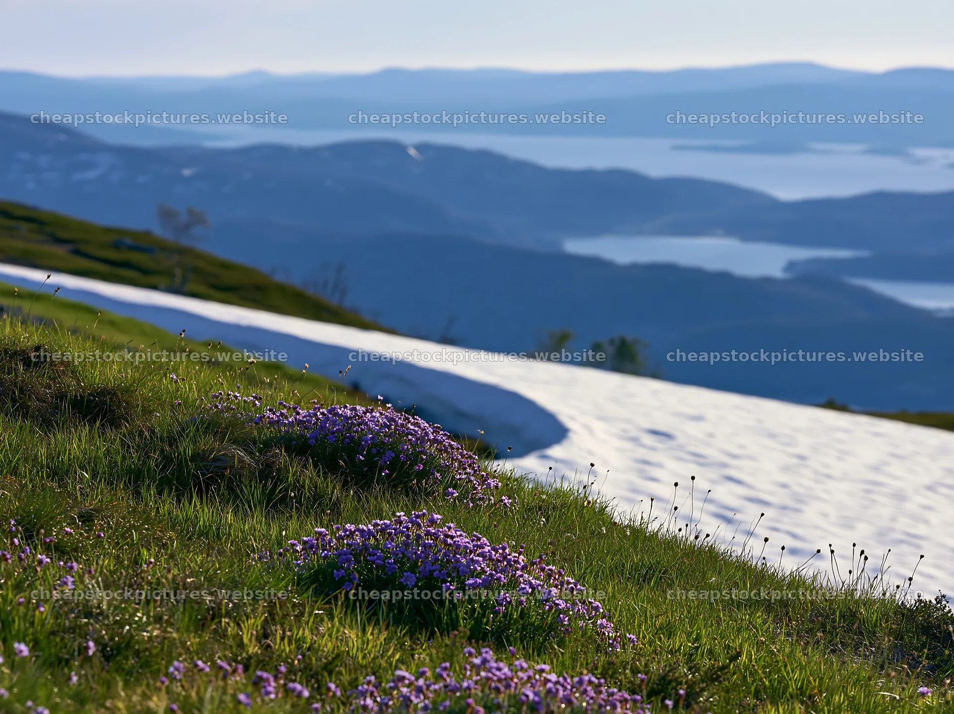Spring meadow with flowers and snow near mountains – stock pictures 9174x6866