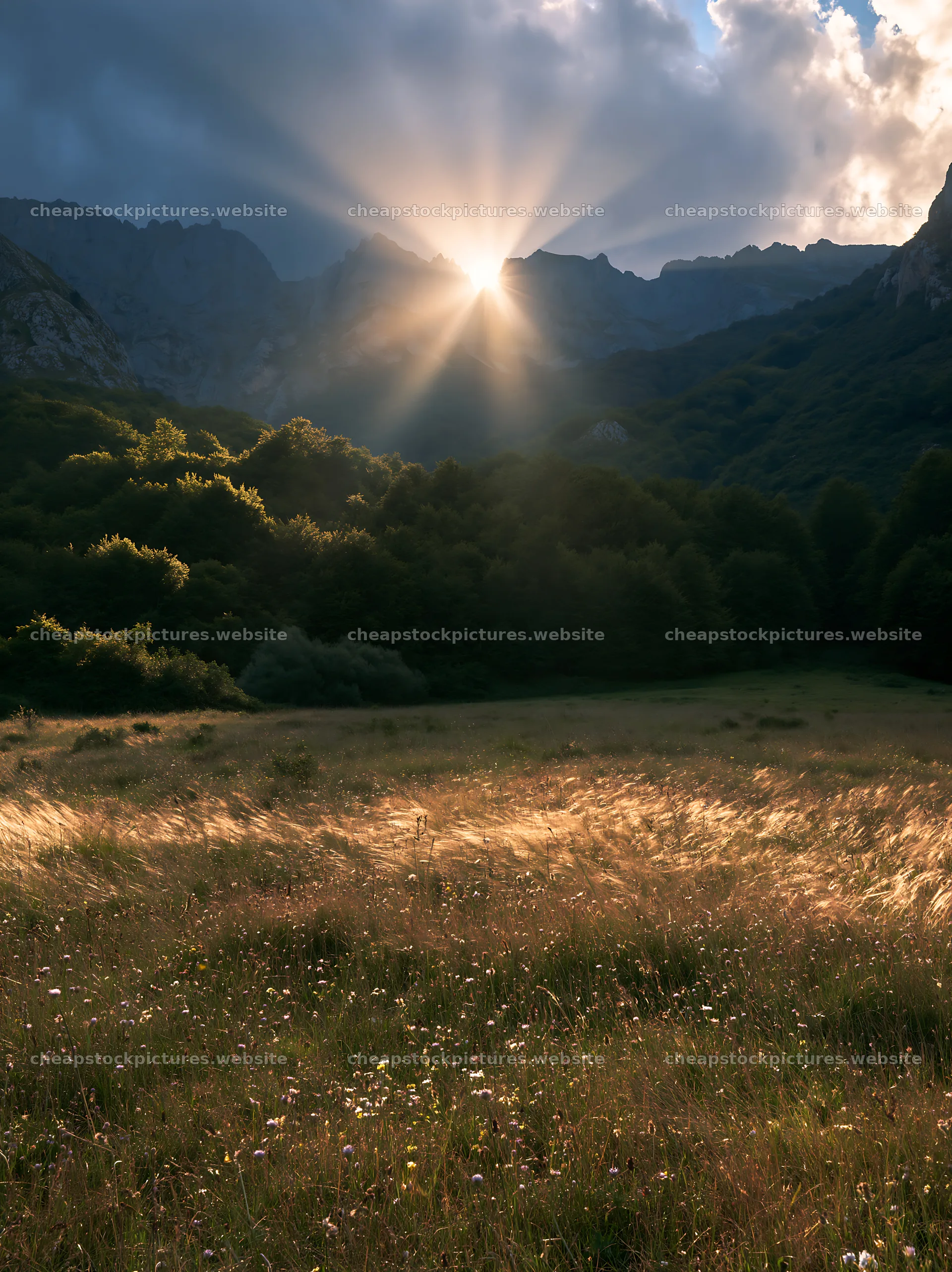 Sun rays shining over Picos de Europa meadow – stock pictures 6866x9174