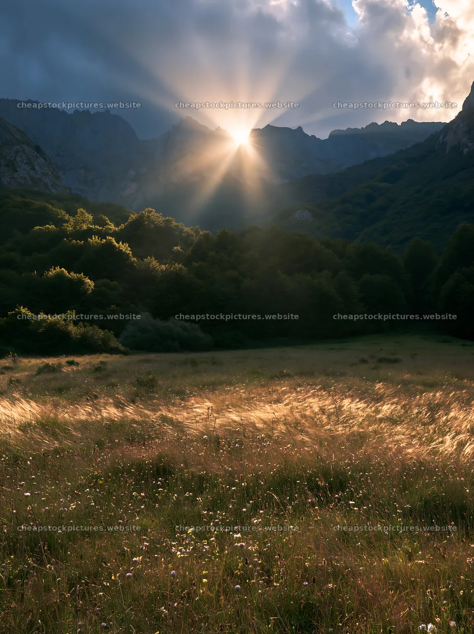 Sun rays shining over Picos de Europa meadow – stock pictures 6866x9174