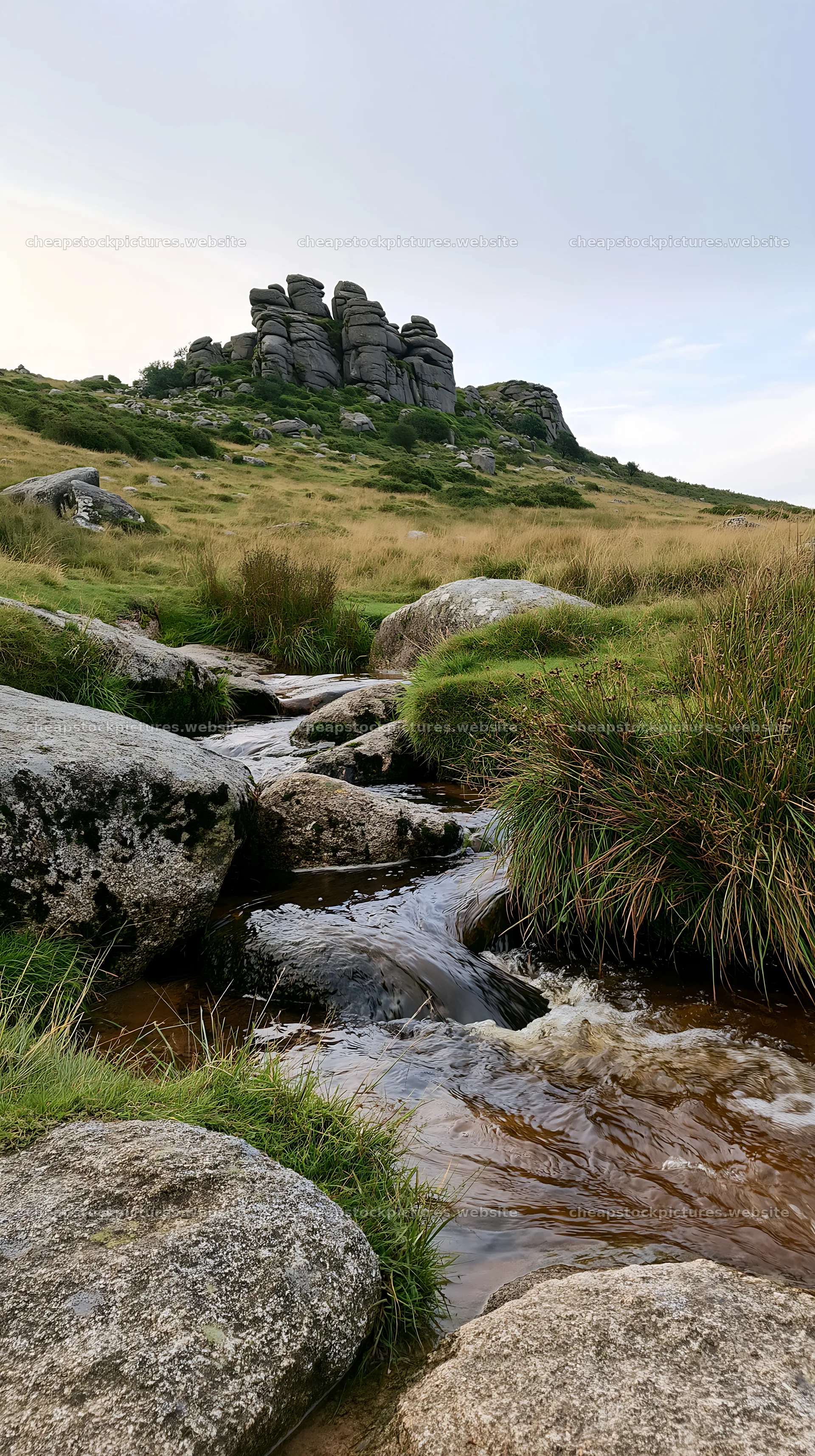 Meadow with stream and crags in a natural landscape – stock pictures 5938x10608