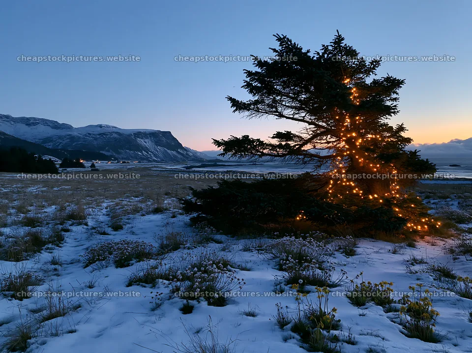 Decorated Christmas tree in snowy meadow at twilight – stock pictures 9174x6866