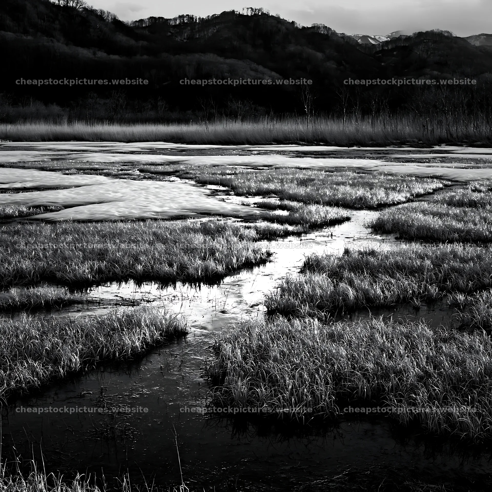 Akita meadow scenery with snowmelt and silver grasses – stock pictures 7938x7938