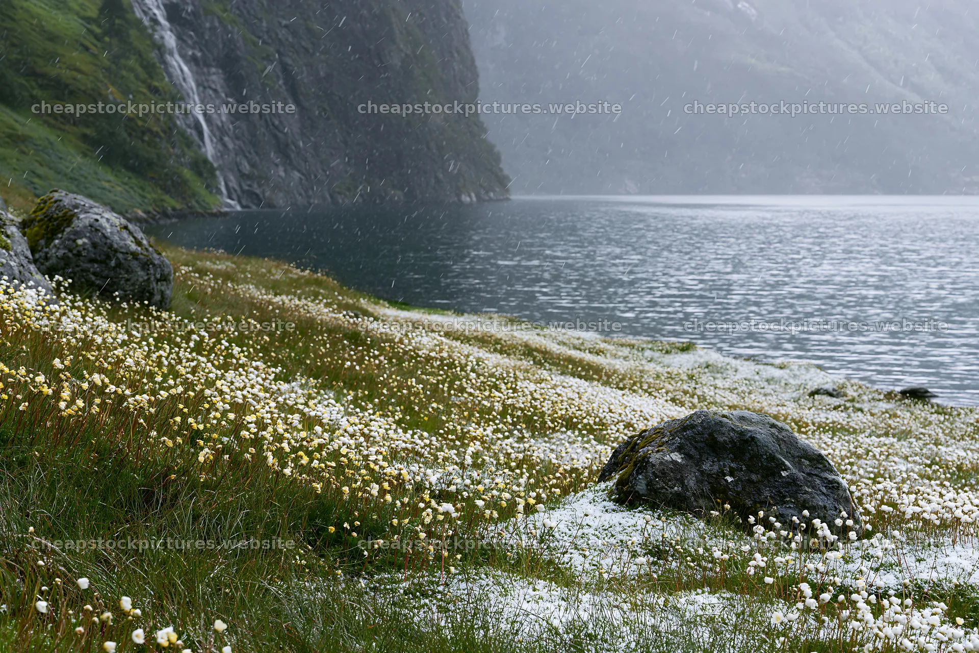 Snowy lakeside meadow with flowers and rocky shoreline – stock pictures 9722x6480
