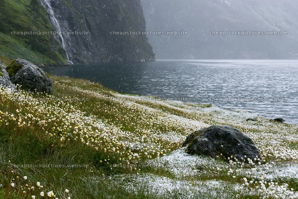 Snowy lakeside meadow with flowers and rocky shoreline – stock pictures 9722x6480