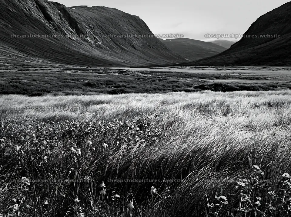Climate-resilient meadow in a mountain valley landscape – stock pictures 9174x6866