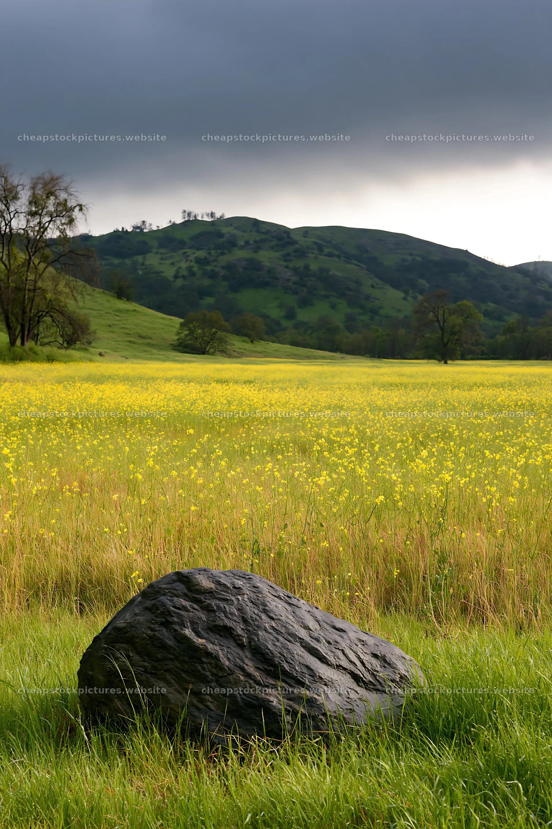 Hiroshima rainy meadow smooth rock foreground – stock pictures 6480x9722