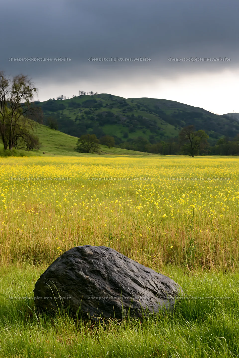 Hiroshima rainy meadow smooth rock foreground – stock pictures 6480x9722