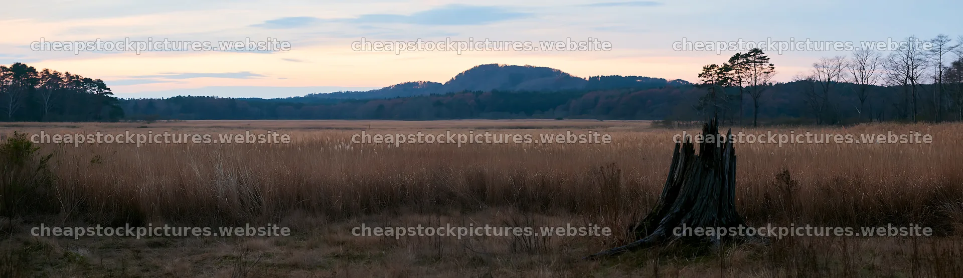 Fukushima native meadow with weathered stump – stock pictures 14762x4268