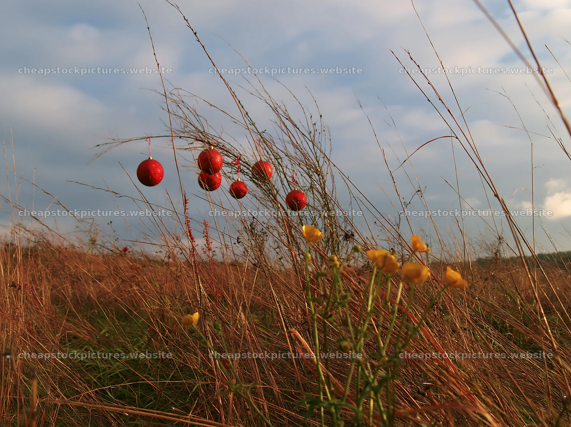 Open Christmas meadow with winter grasses and decorative baubles – stock pictures 9174x6866