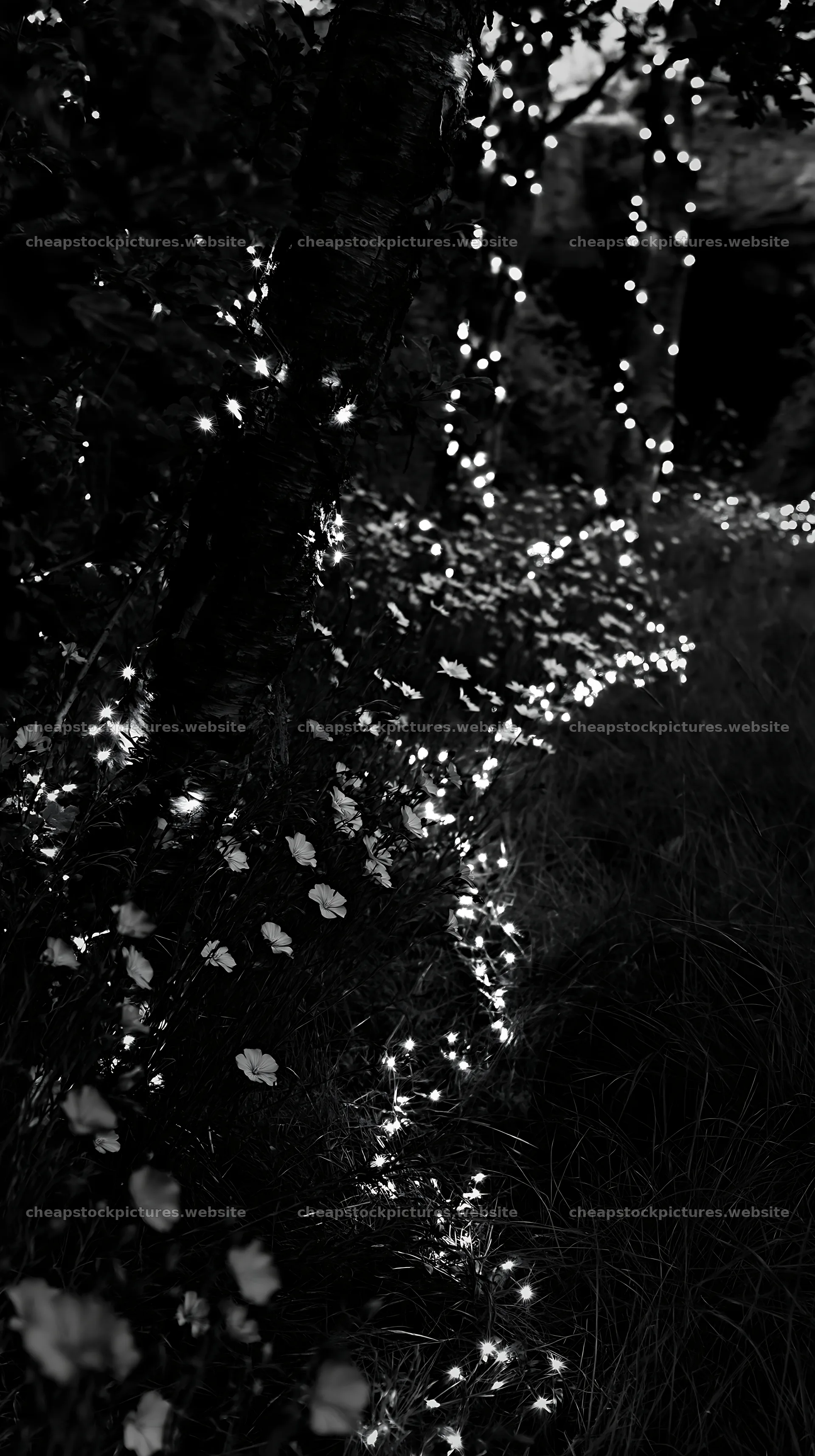 Christmas lights in meadow at dusk near cave – stock pictures 5938x10608
