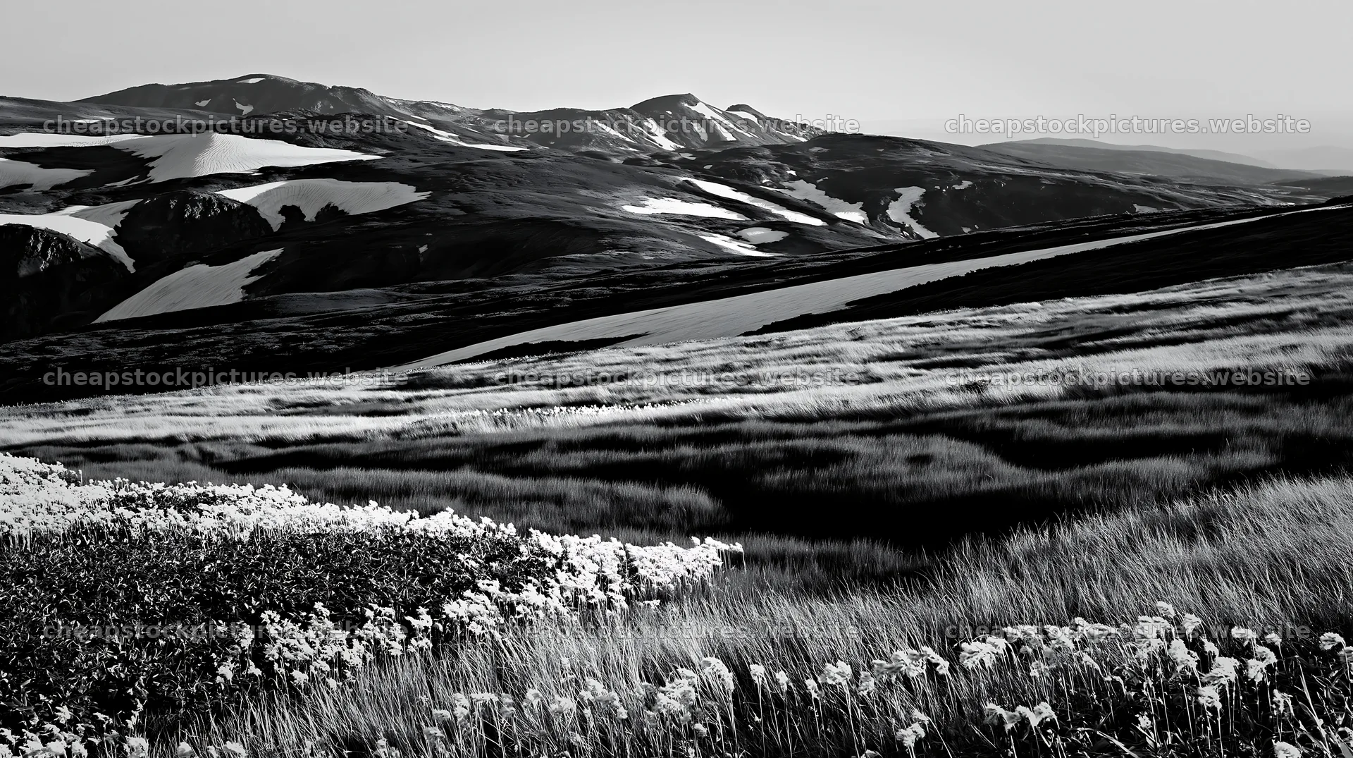 Akita snowmelt meadow with silver grasses under clear sky – stock pictures 10608x5938