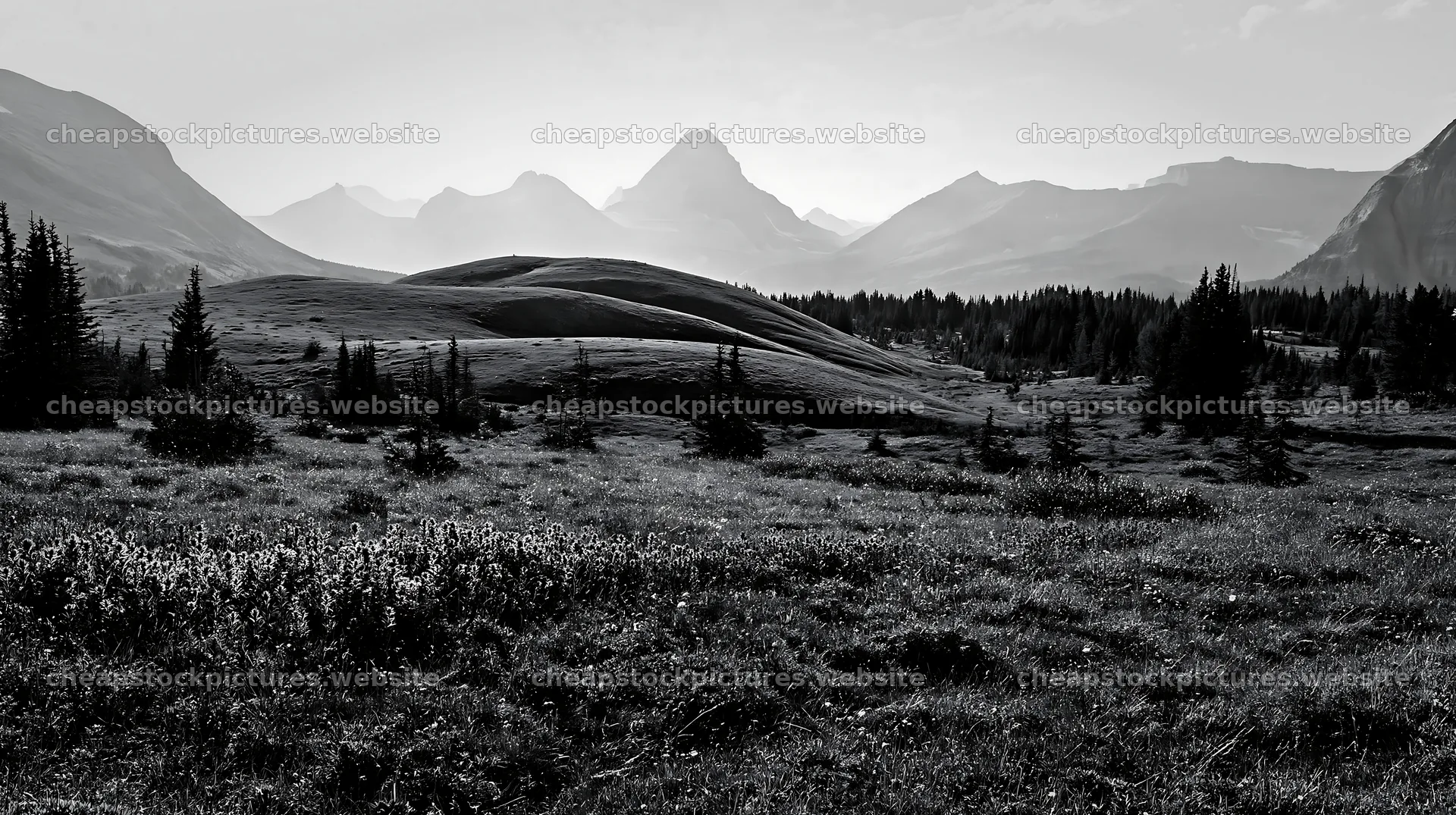 Sunshine Meadows view with light rays and mountains in Banff – stock pictures 10608x5938