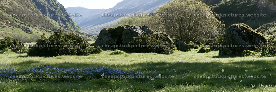 Meadow with rocks in a valley surrounded by mountains – stock pictures 13690x4602