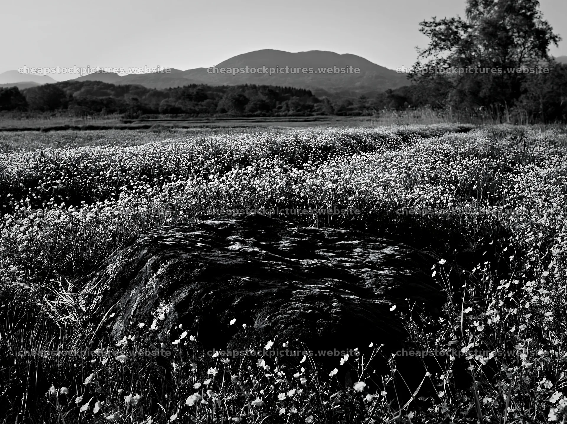 Miyagi spring meadow with mossy stone and distant mountains – stock pictures 9174x6866