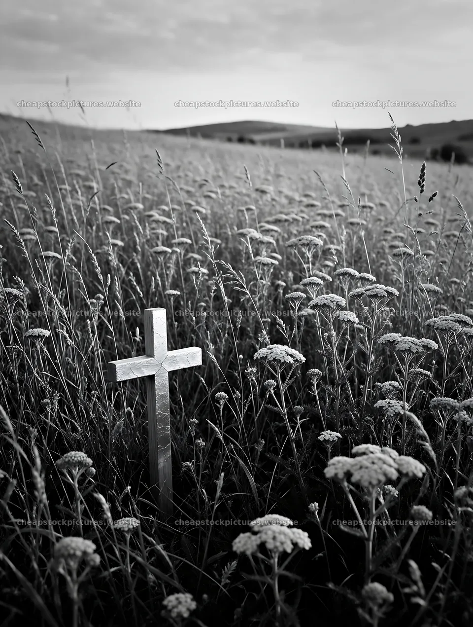 Golden Christian cross in sunset meadow – stock pictures 6898x9134