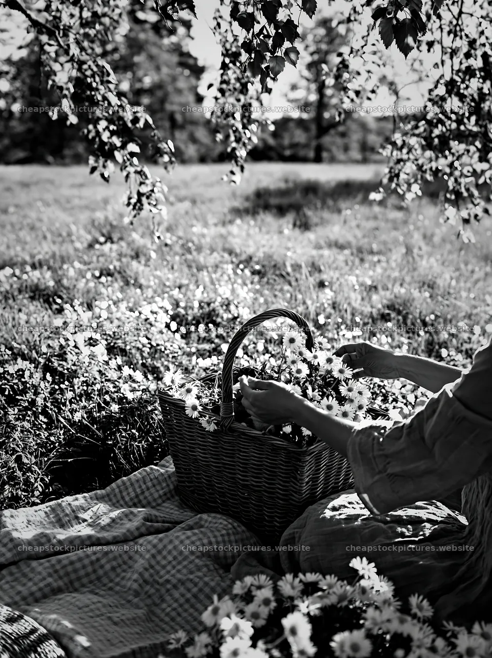 Woman gathering flowers in a meadow with an easter basket – stock pictures 6866x9174