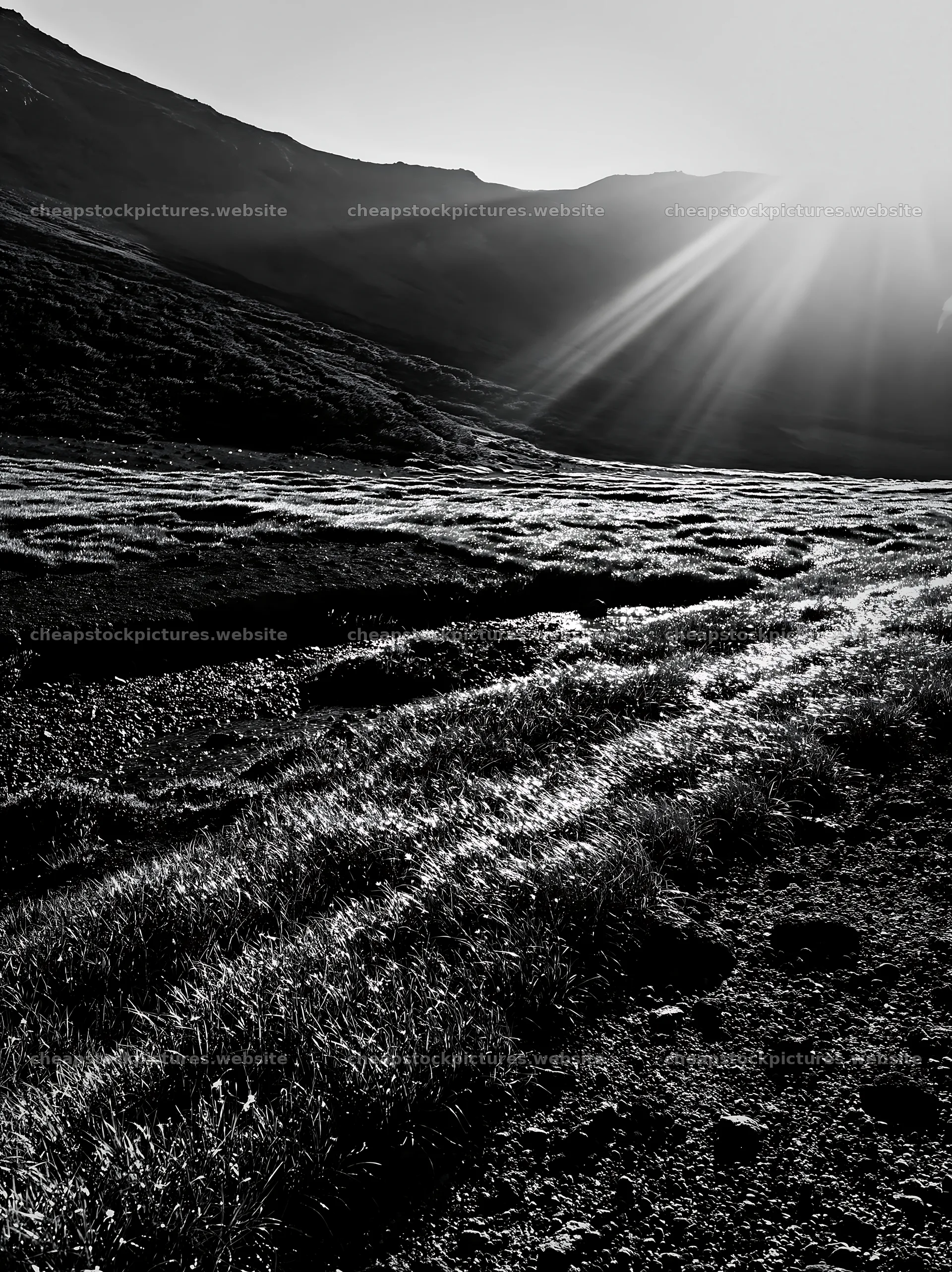 Daisetsuzan alpine meadow with light rays in black and white – stock pictures 6866x9174