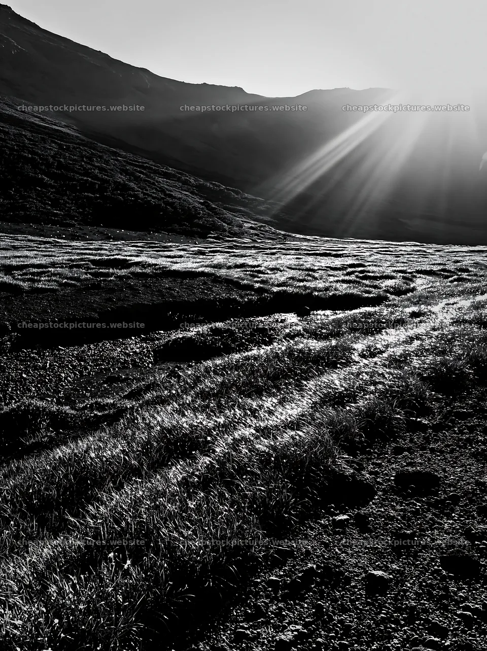 Daisetsuzan alpine meadow with light rays in black and white – stock pictures 6866x9174