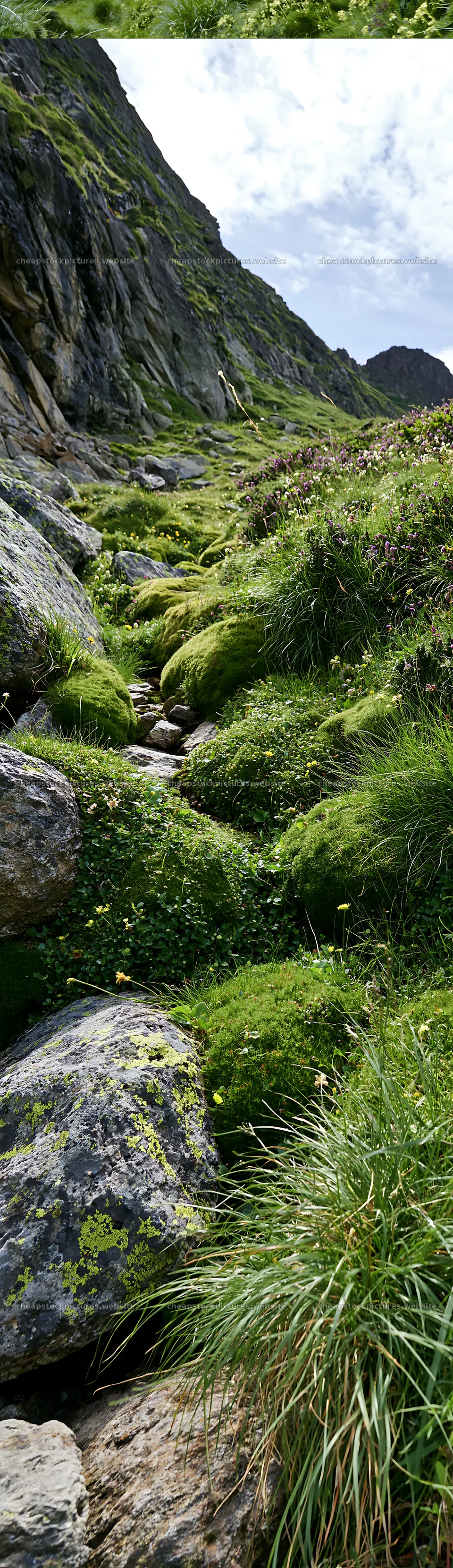 Mossy boulders and meadow in a rocky landscape – stock pictures 4268x14762