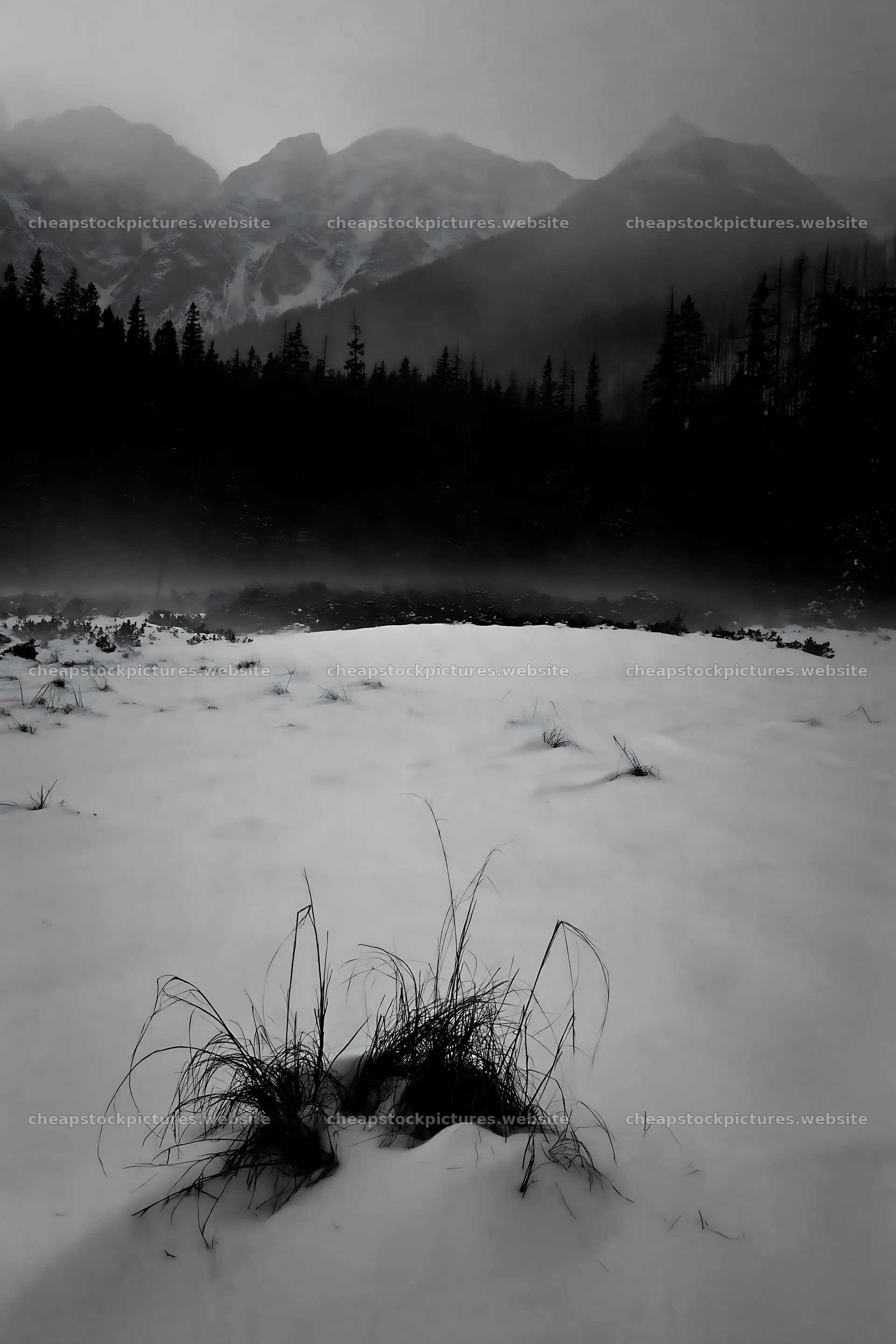Snowbound meadow with grass and mountains in winter landscape – stock pictures 6480x9722
