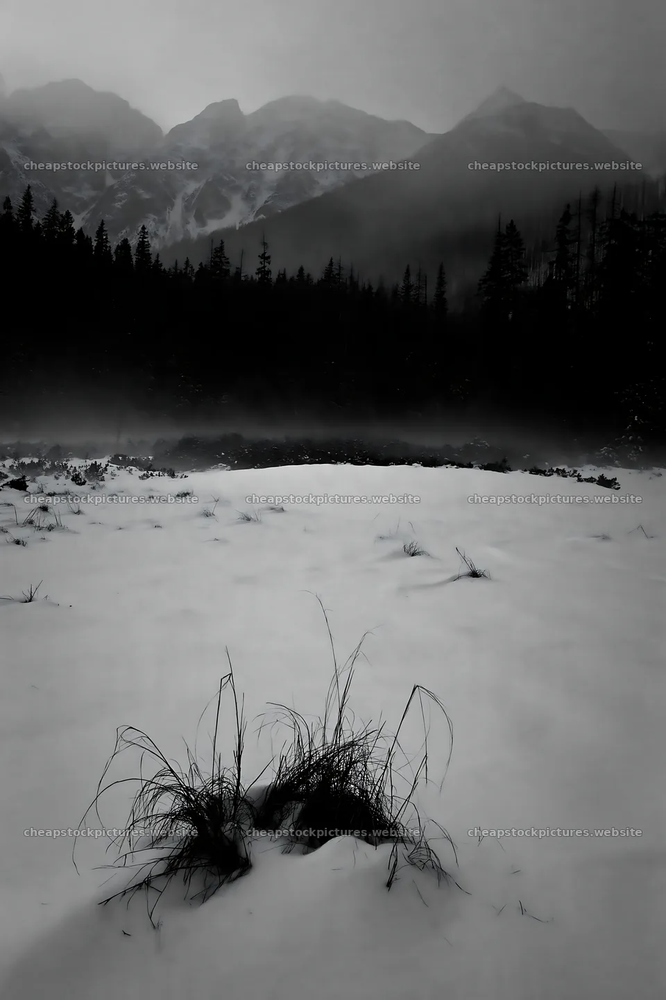 Snowbound meadow with grass and mountains in winter landscape – stock pictures 6480x9722