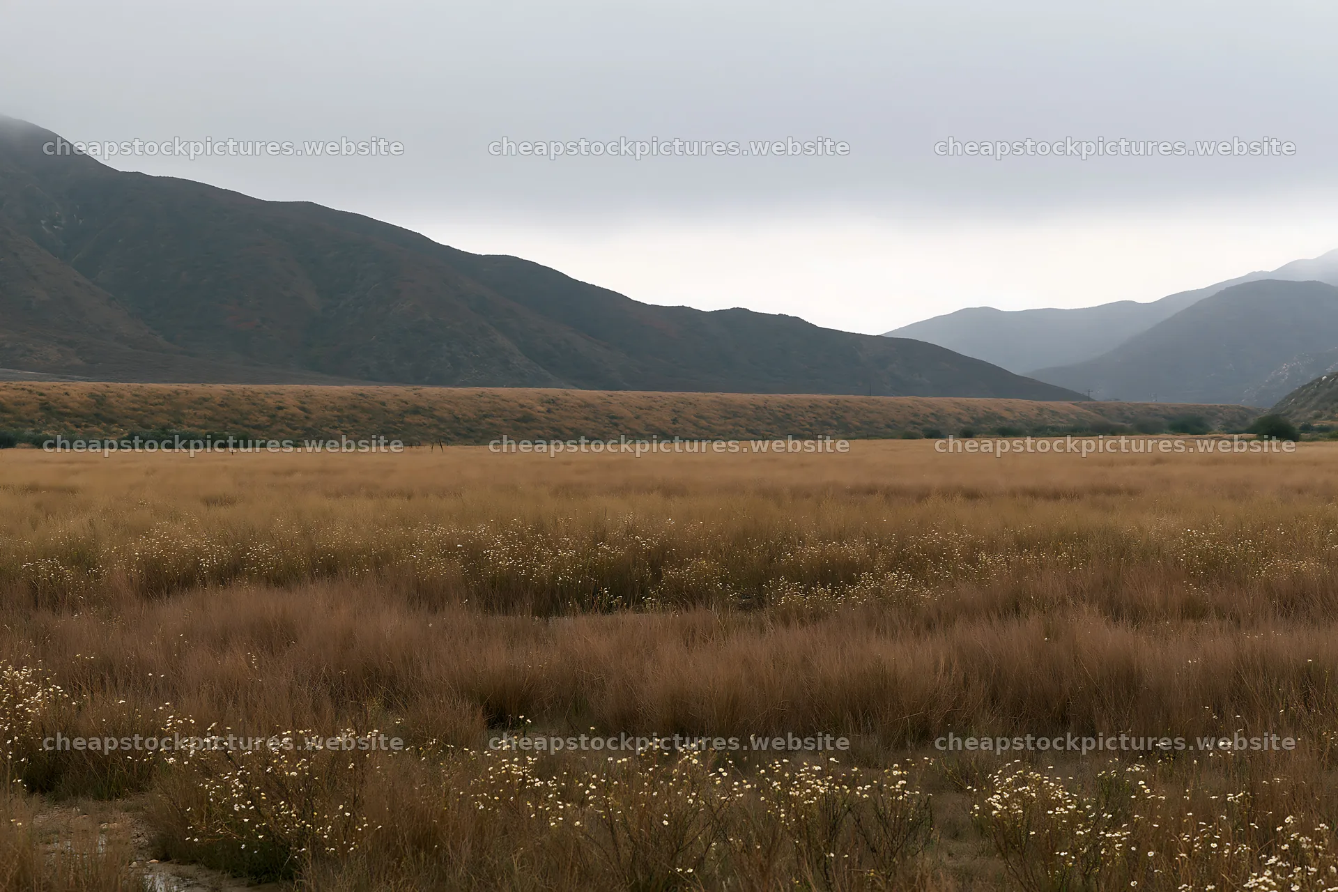 Cloudy foothill meadow under gray skies – stock pictures 9722x6480