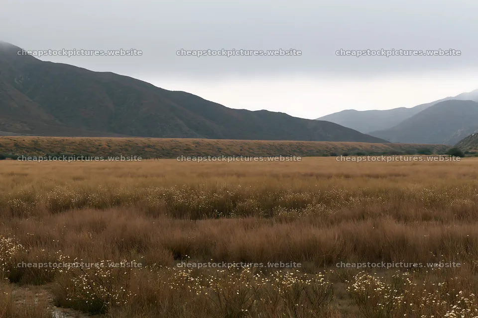 Cloudy foothill meadow under gray skies – stock pictures 9722x6480
