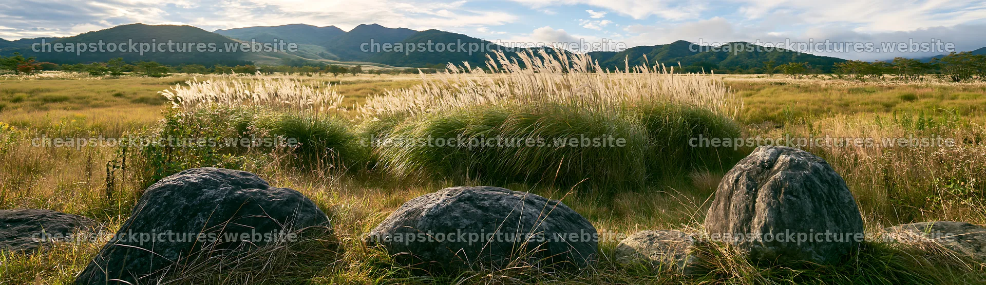 Rewilded Akita silver grass meadow stones under a bright sky – stock pictures 14762x4268