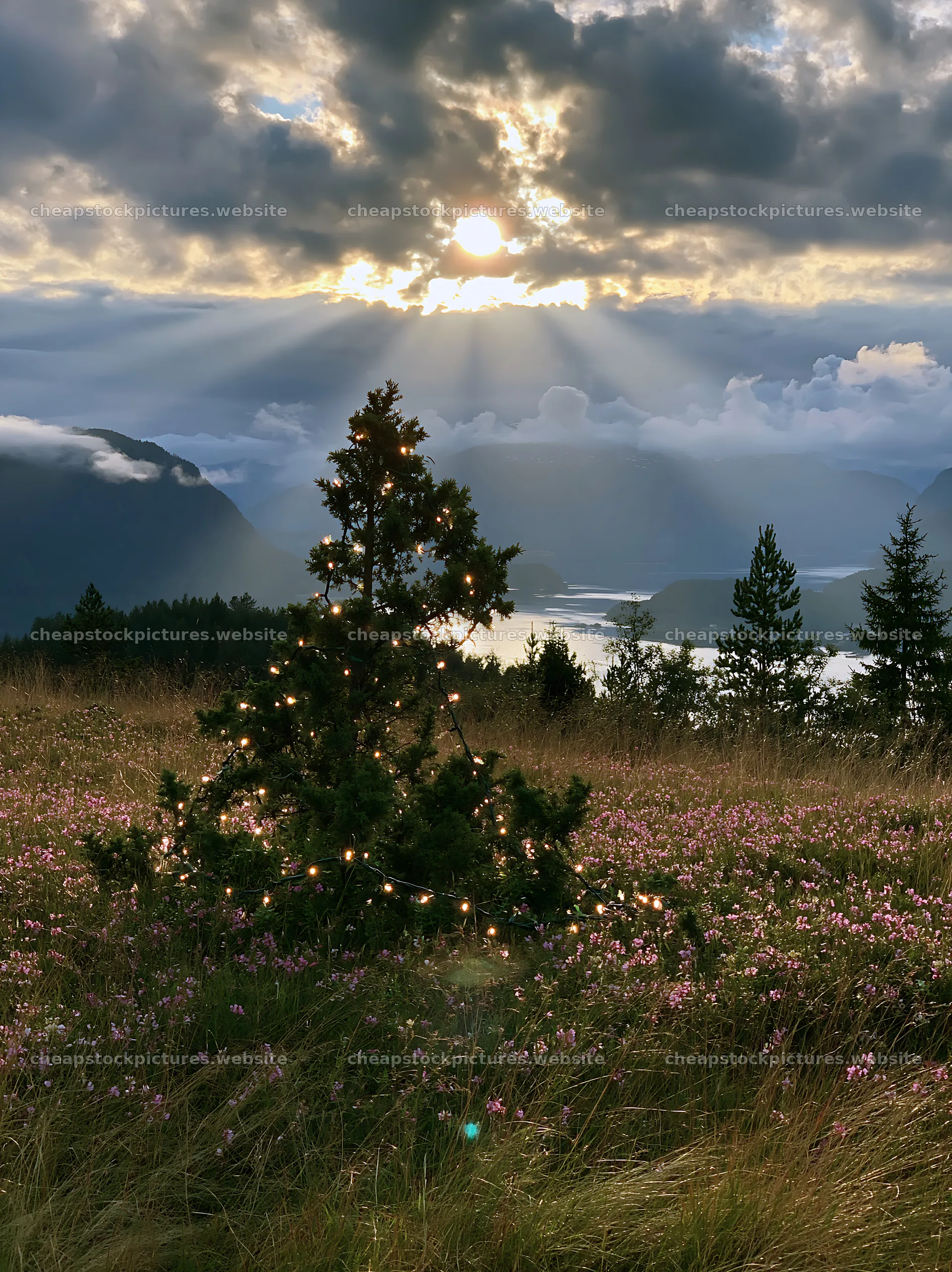 Christmas decorations in a meadow under sunbeams and clouds – stock pictures 6866x9174