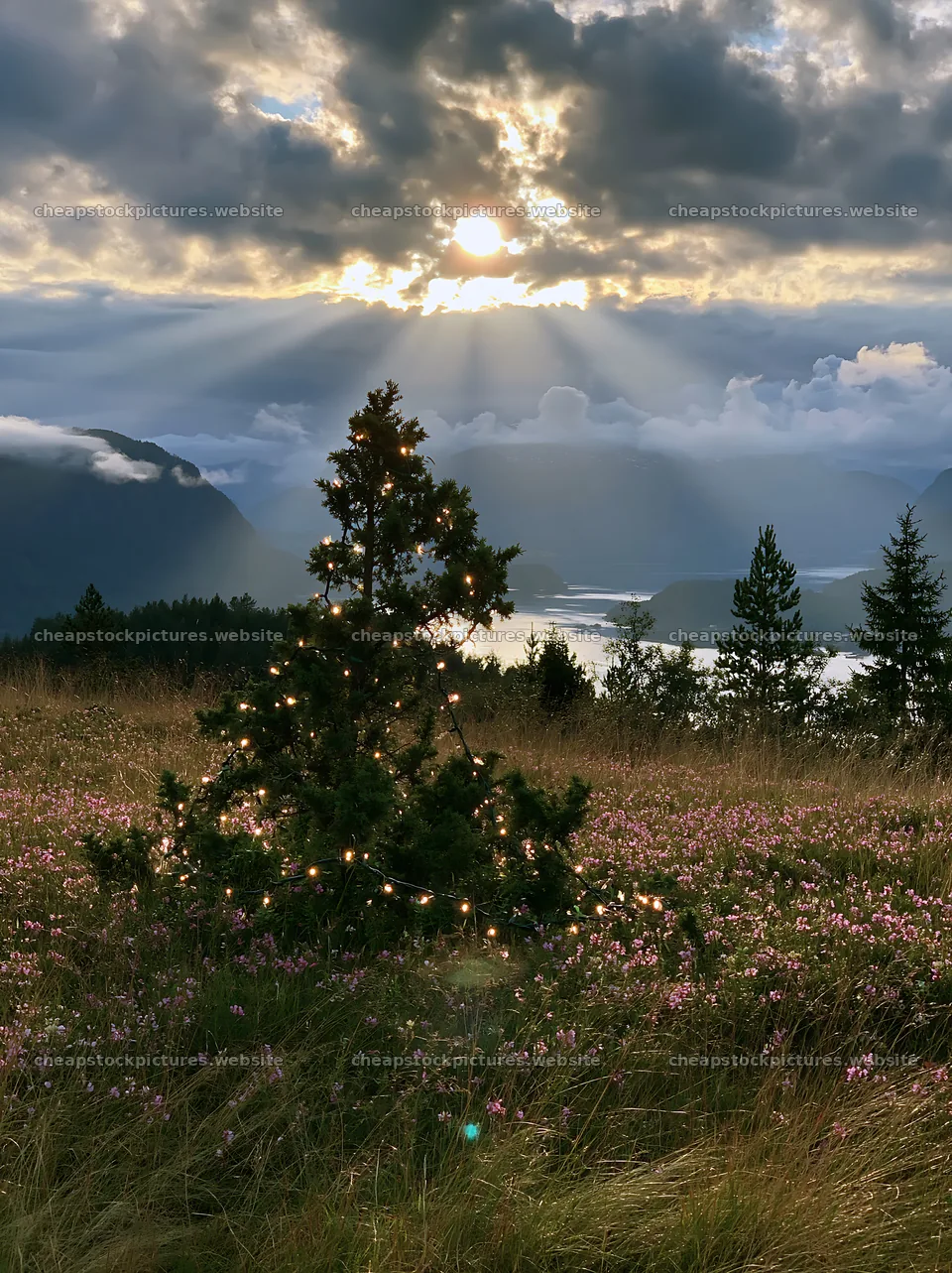 Christmas decorations in a meadow under sunbeams and clouds – stock pictures 6866x9174