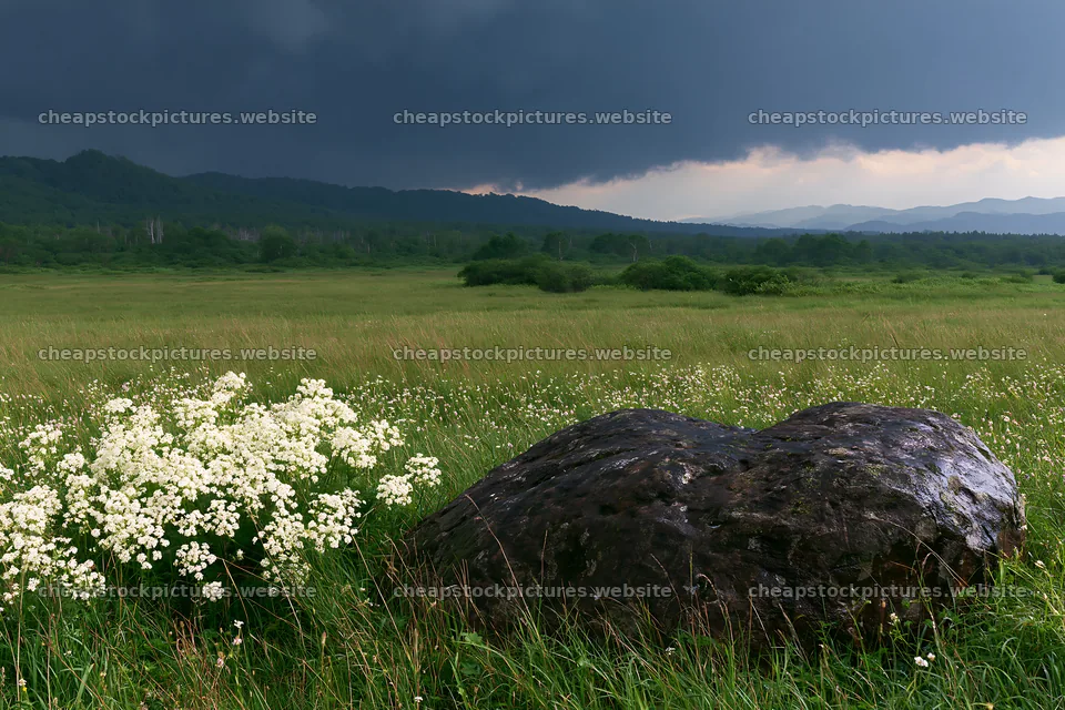 Aomori climate resilient meadow with boulder under dark clouds – stock pictures 9722x6480