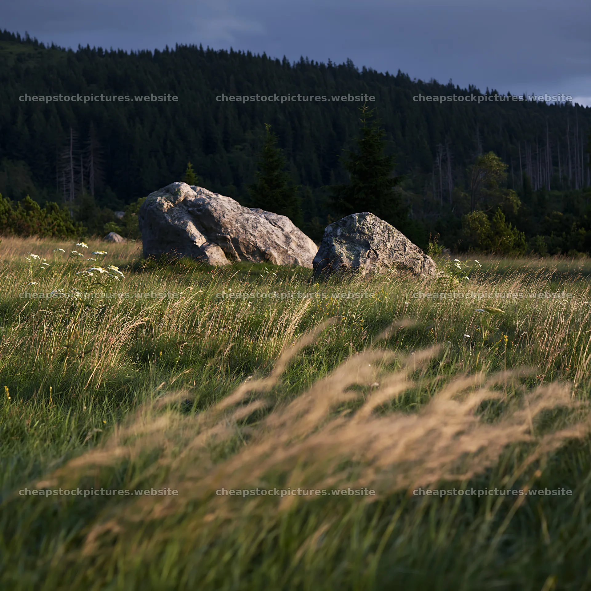 Meadow landscape with boulders under cloudy sky – stock pictures 7938x7938