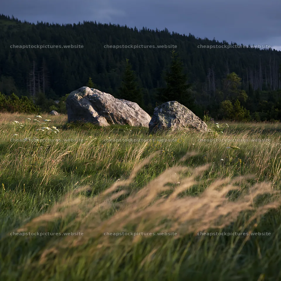 Meadow landscape with boulders under cloudy sky – stock pictures 7938x7938