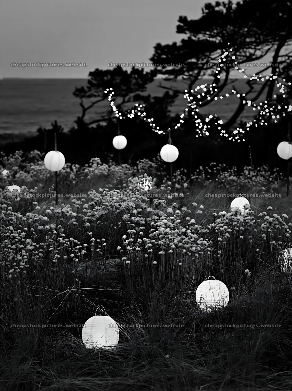 Frosty meadow with white lanterns and seedheads in winter – stock pictures 6866x9174