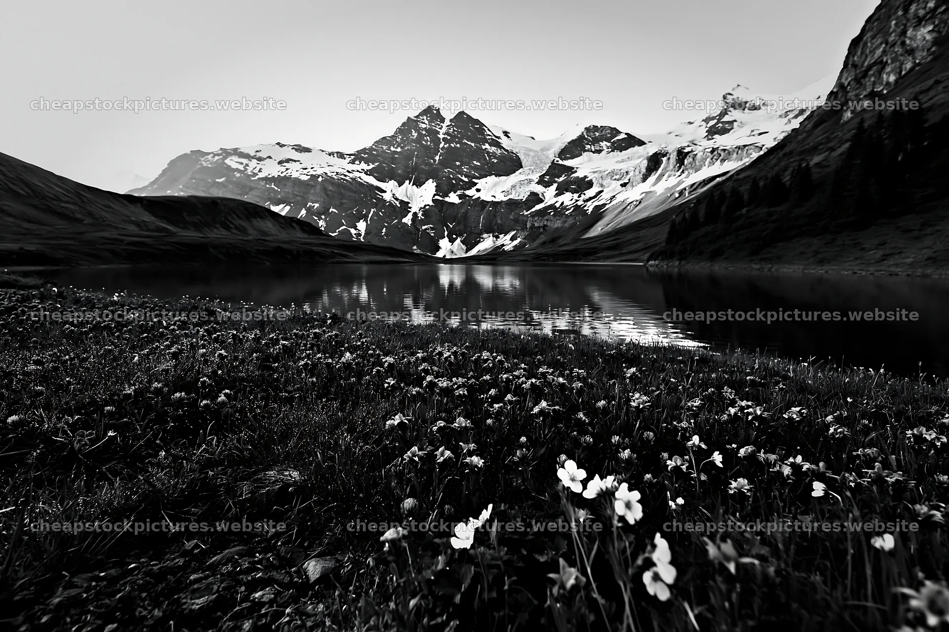Swiss meadow beside alpine lake with wildflowers and mountains – stock pictures 9722x6480