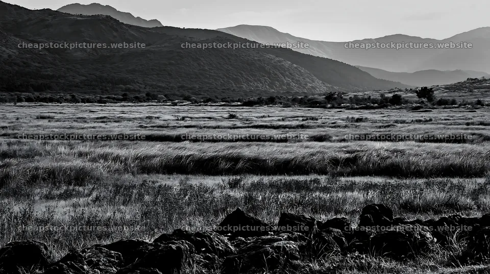 Kumamoto volcanic meadow dark rock foreground with distant hills – stock pictures 10608x5938